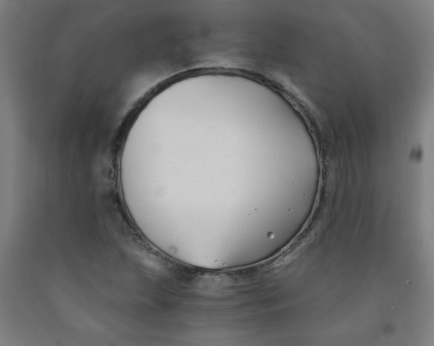 X0000091881215200709261344