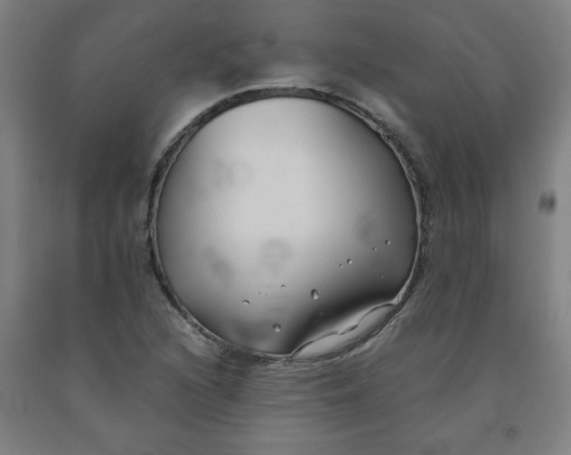 X0000091881216200709261344