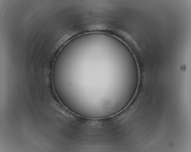 X0000091881217200709261344