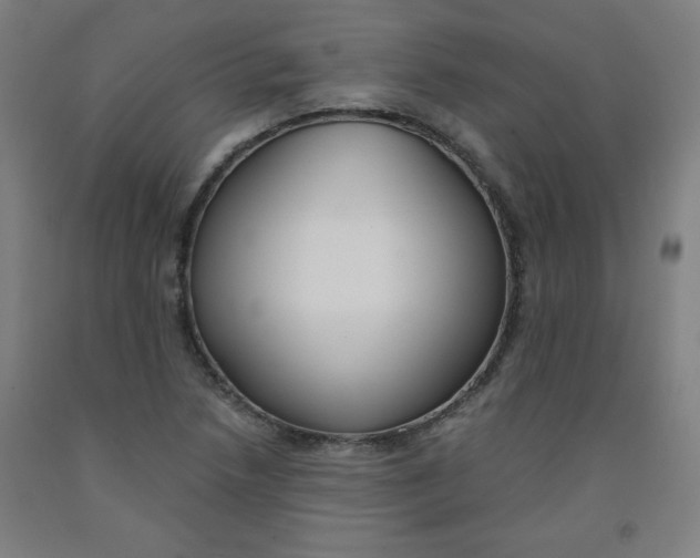 X0000091881218200709261344