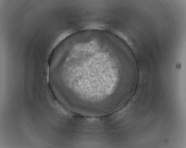 X0000091881219200709261344