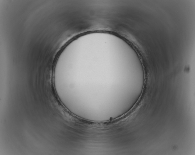 X0000091881220200709261344