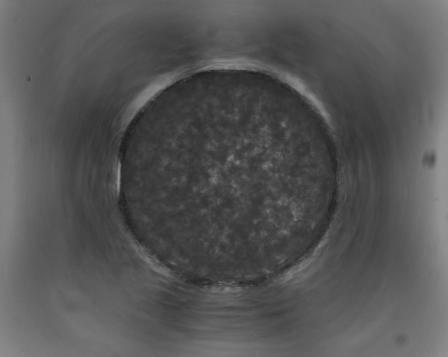 X0000091881221200709261344