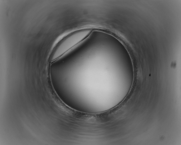 X0000091881222200709261344