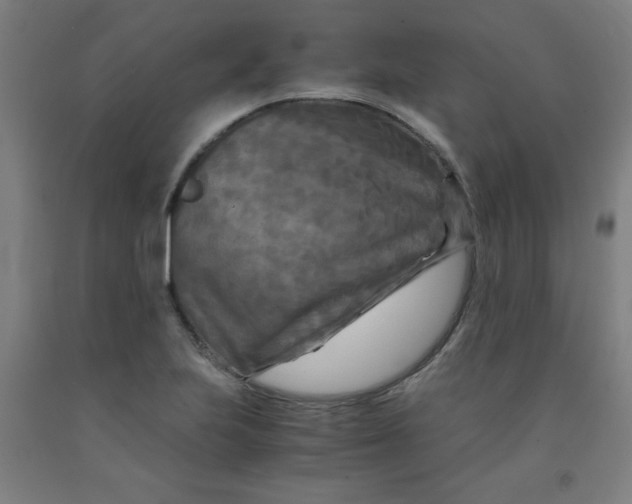 X0000091881223200709261344