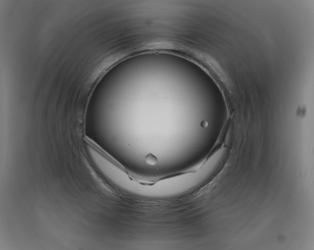 X0000091881225200709261344