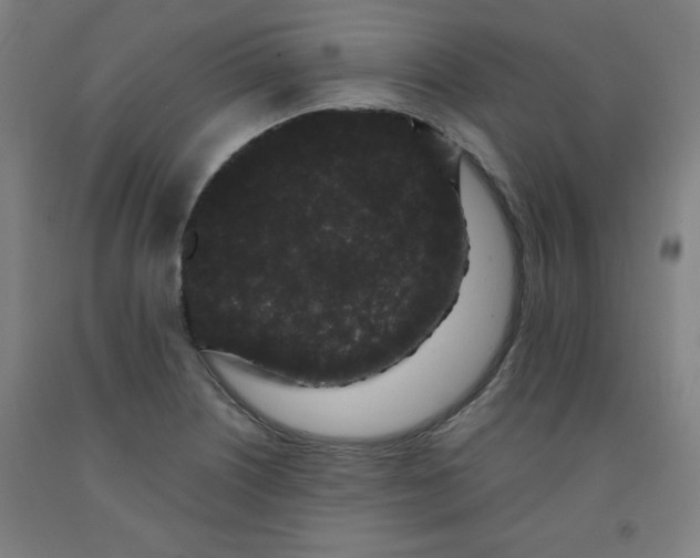 X0000091881226200709261344