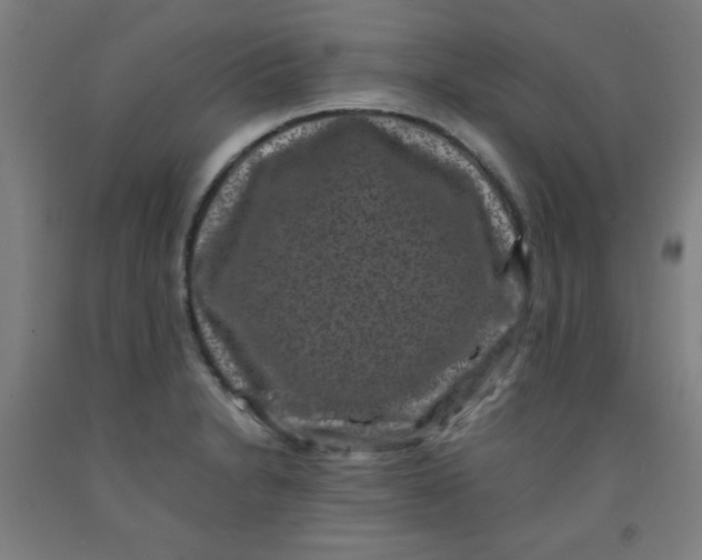 X0000091881230200709261344