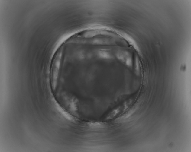 X0000091881231200709261344