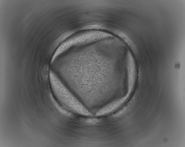 X0000091881233200709261344