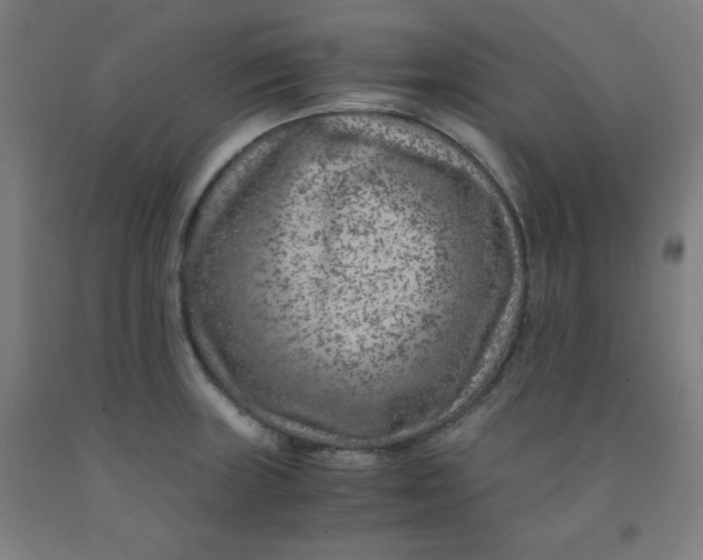 X0000091881235200709261344