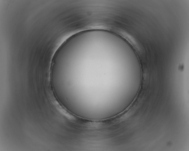 X0000091881236200709261344