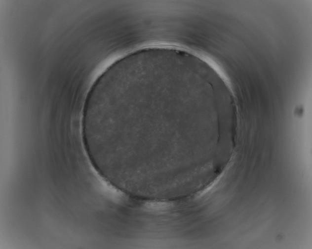 X0000091881237200709261344