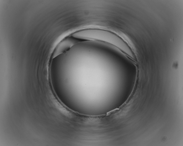 X0000091881238200709261344