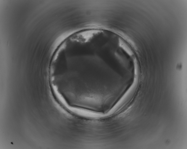 X0000091881239200709261344