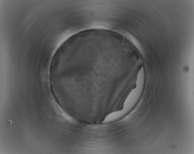 X0000091881240200709261344