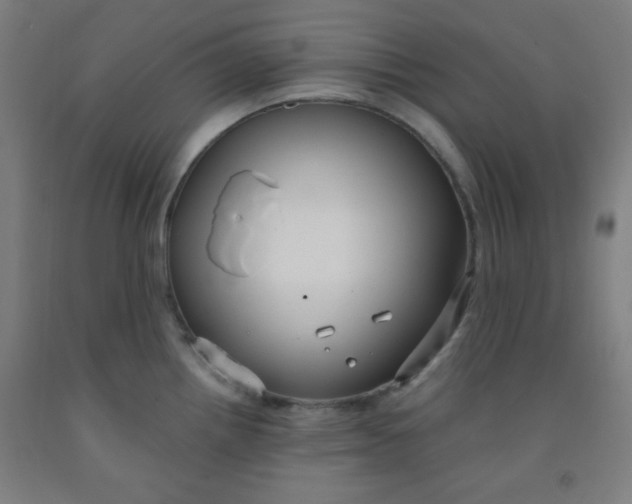 X0000091881242200709261344