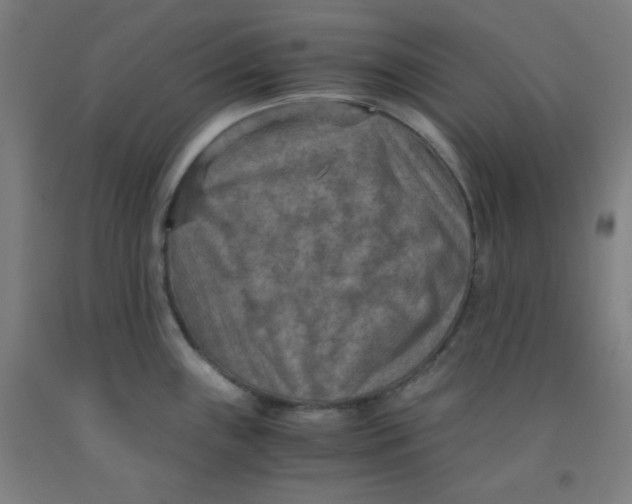 X0000091881243200709261344