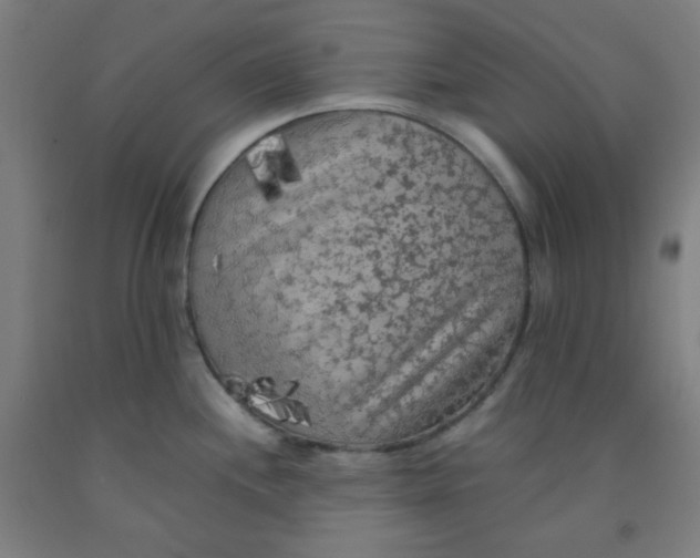 X0000091881244200709261344