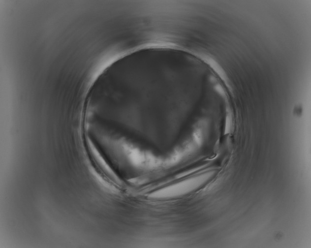 X0000091881245200709261344