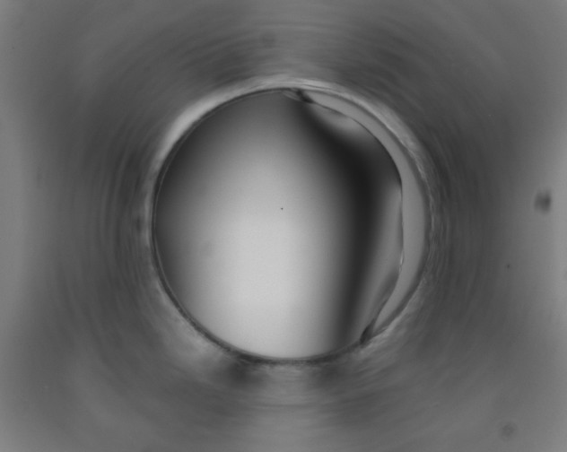 X0000091881246200709261344