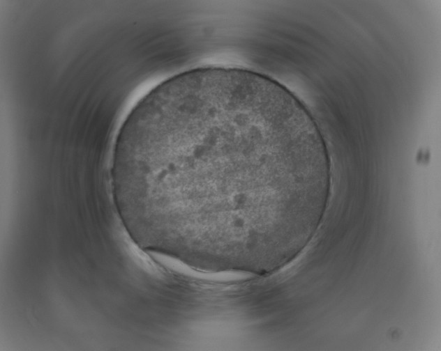 X0000091881248200709261345