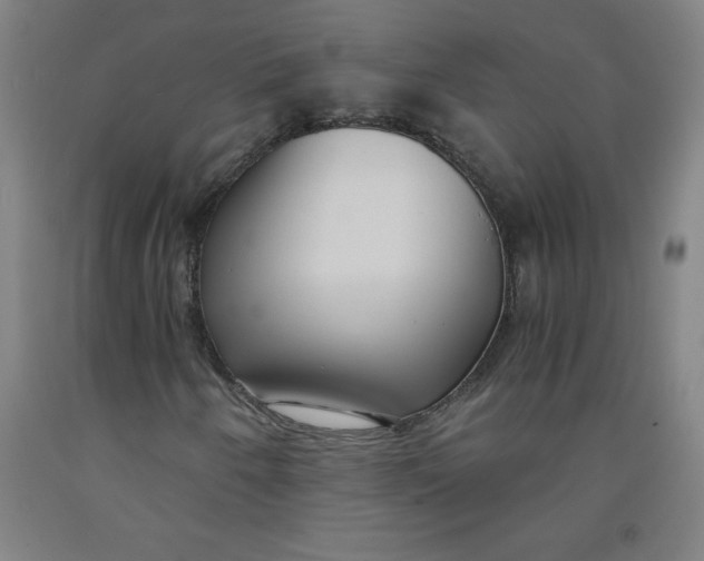 X0000091881250200709261344