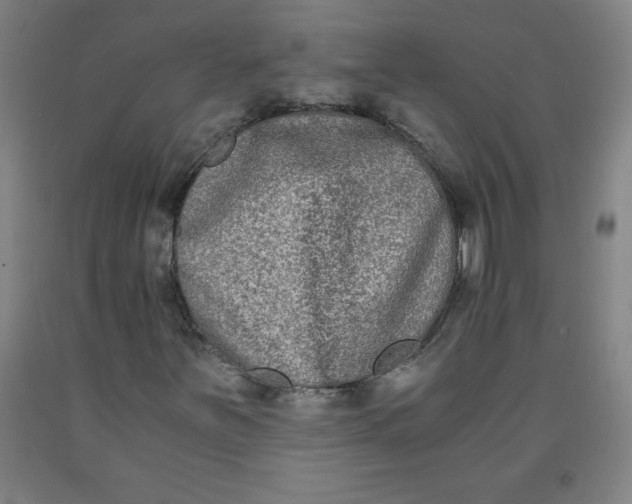 X0000091881251200709261344