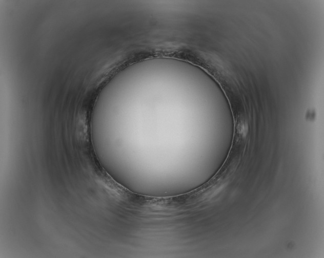 X0000091881252200709261344