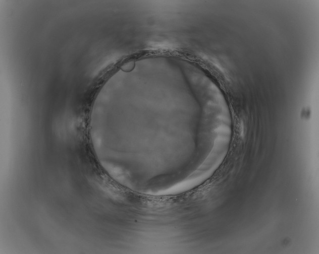 X0000091881254200709261344