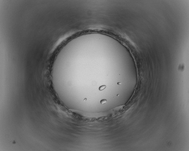 X0000091881256200709261344