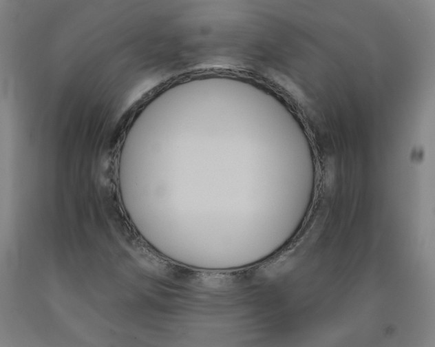 X0000091881258200709261344