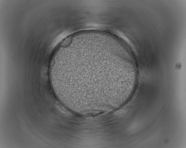 X0000091881259200709261344