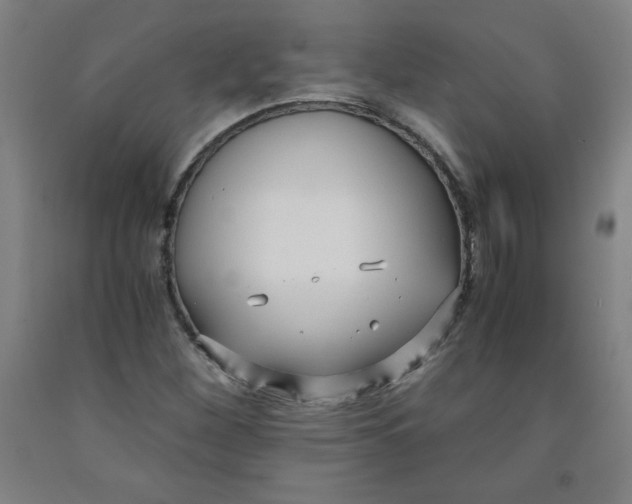 X0000091881260200709261344