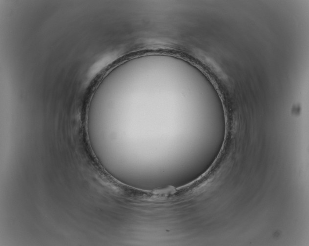 X0000091881261200709261344