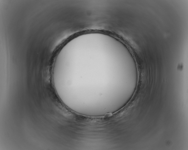 X0000091881262200709261344