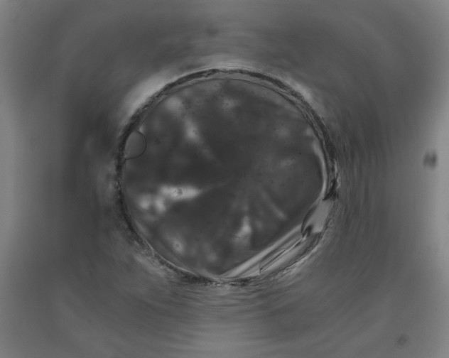 X0000091881263200709261344