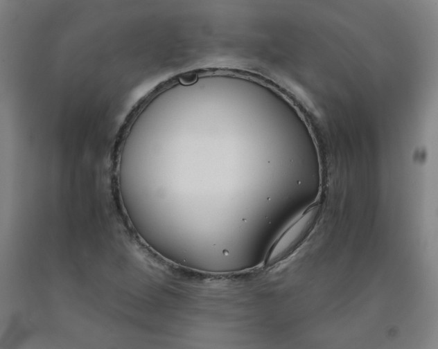 X0000091881264200709261344