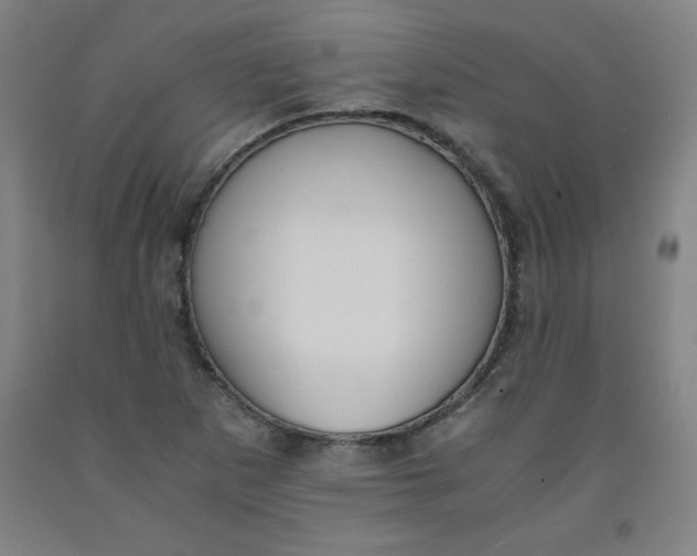 X0000091881265200709261344