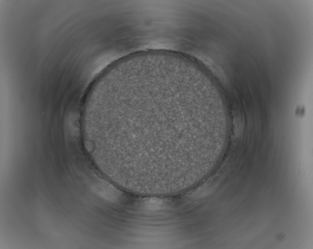 X0000091881266200709261344