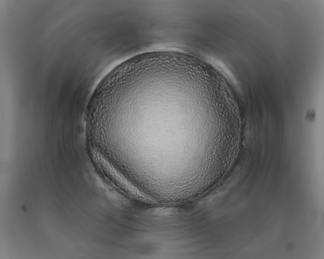 X0000091881268200709261344