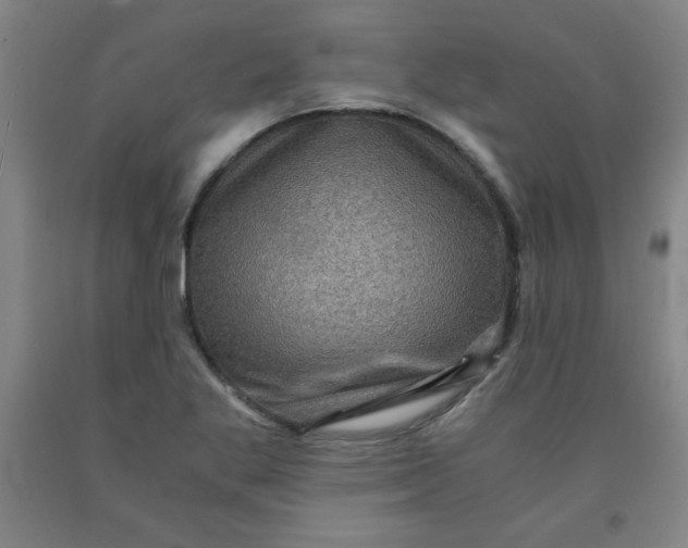 X0000091881269200709261344