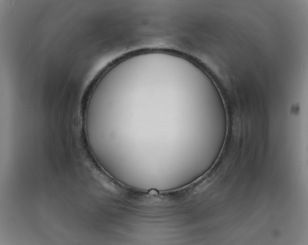 X0000091881270200709261344