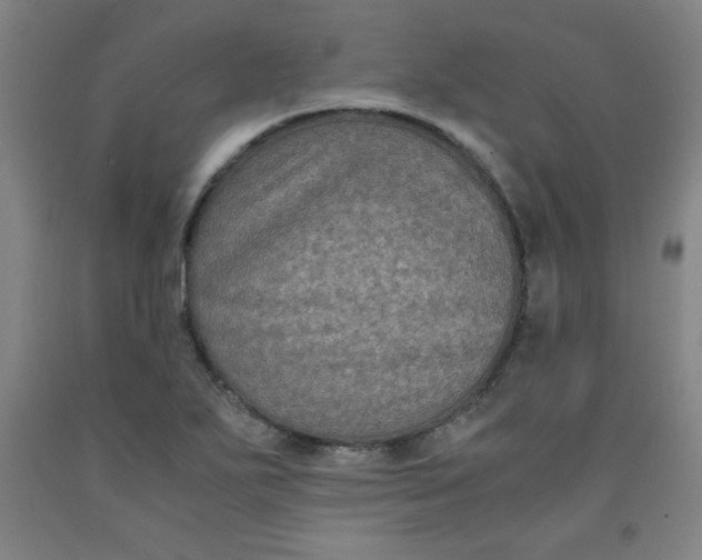 X0000091881271200709261344