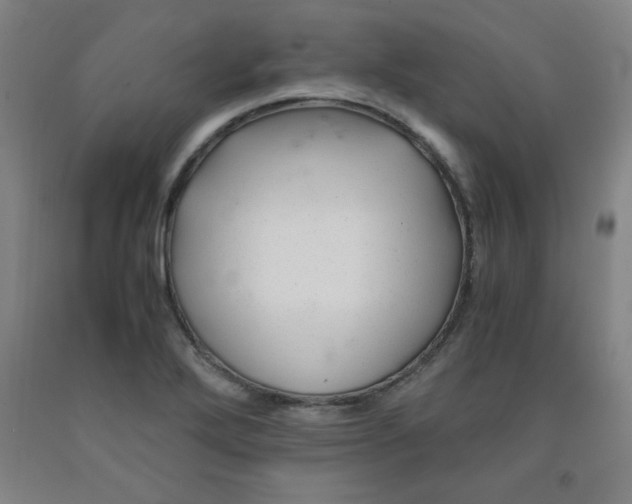 X0000091881272200709261344