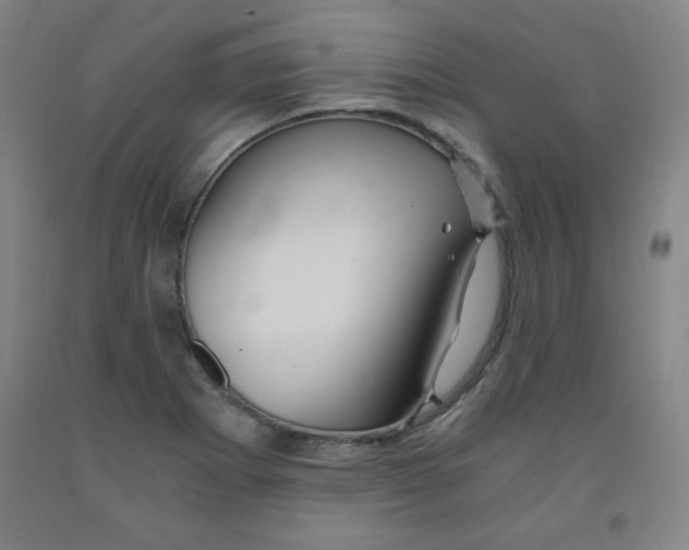 X0000091881273200709261344