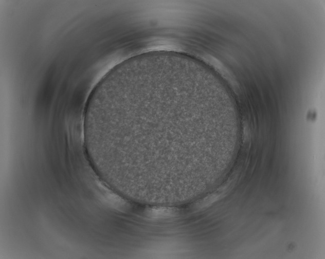 X0000091881274200709261344