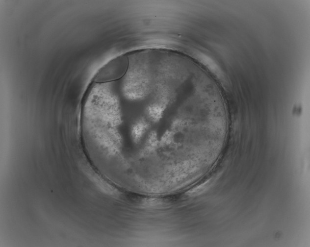 X0000091881275200709261344