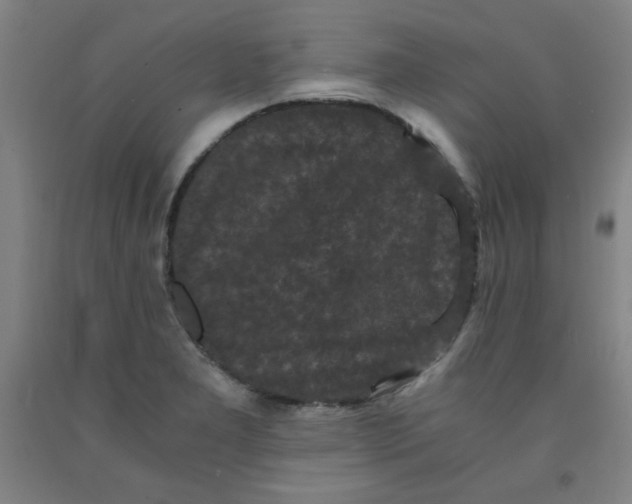 X0000091881277200709261344