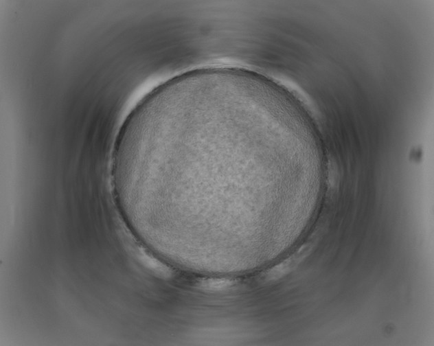 X0000091881278200709261344